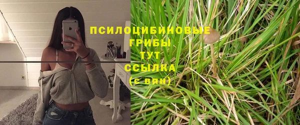 эйфоретик Армянск