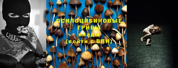 эйфоретик Армянск